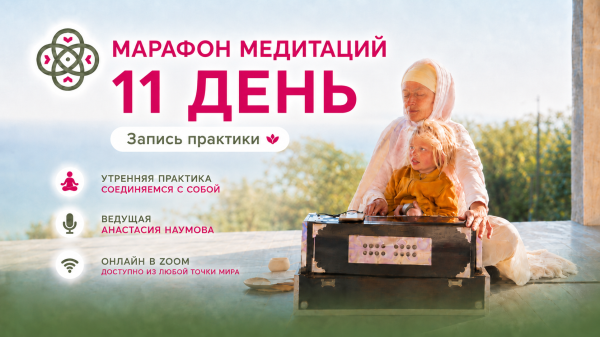 11 день